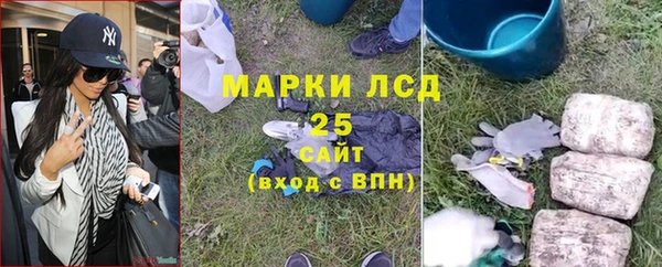 ГАЛЛЮЦИНОГЕННЫЕ ГРИБЫ Аркадак