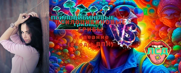 ГАЛЛЮЦИНОГЕННЫЕ ГРИБЫ Аркадак