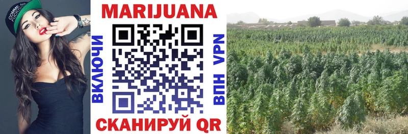 Каннабис THC 21%  Кировск 